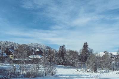 房屋 树木 雪 村庄 建筑物 下雪的 寒冷的 冬天 冬天的心情