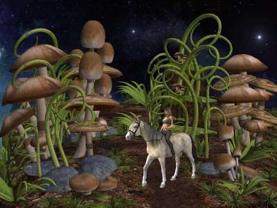 幻想 蘑菇 马 魔法森林 毒菌 菌 幻想风景 马背 魔法