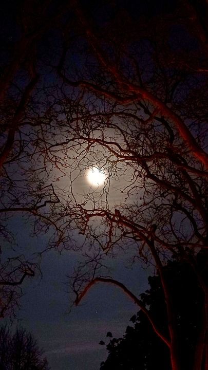 月亮 自然 夜晚 满月 星空 月光 幻想