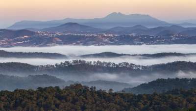 山 多雾路段 森林 日落 树木 晚上 背景 自然 景观