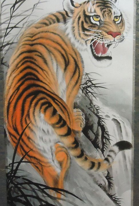 老虎 艺术品 猫 设计 野生动物 画画 猫科动物 捕食者