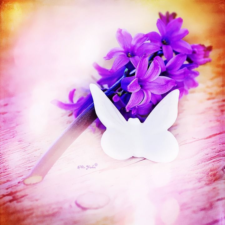 风信子, 花, 开花, 粉色的, 蝴蝶, 绘画, 数码绘画, 艺术