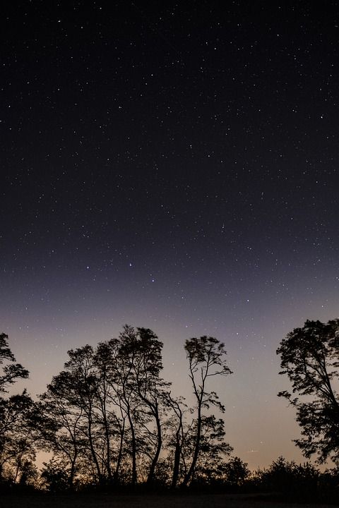 天堂 星星 星空 大敢 夜晚 树木