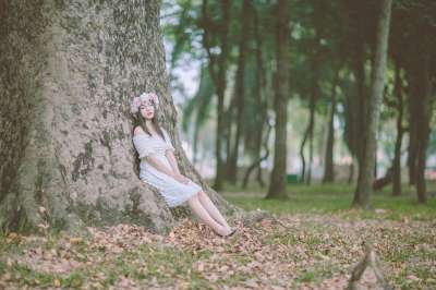 森林 女孩 模型 自然 人们 女性 肖像 秋天