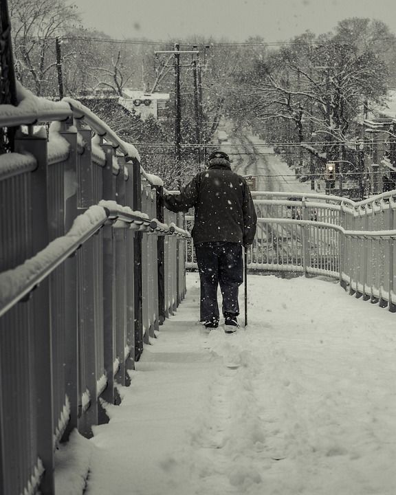 老的 男人 雪 冬天 步行 甘蔗 桥 戳 降雪 寒冷的 霜