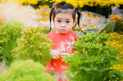 孩子们 女孩 天真 迷人的 美丽的 节日 新的一年 亚洲 颜色