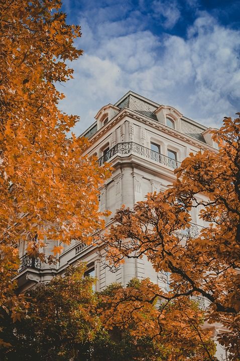 秋天 建造 结构 巴登巴登 城市的 城市景观 落下