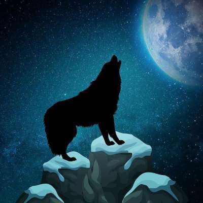 狼 月亮 月光 卡通片 轮廓 夜晚 天空 动物 黑暗 野生动物