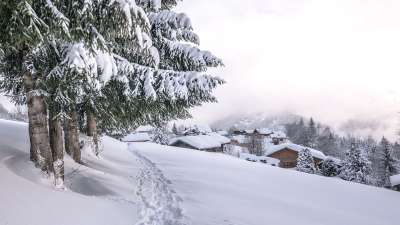 雪 冬天 寒冷的 弗罗斯特 冷冻的 山 自然 景观