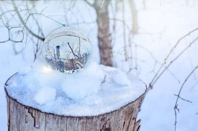 水晶球 雪 冬天 下雪的 树木 魔法 寒冷的 蓝色的森林 蓝色雪