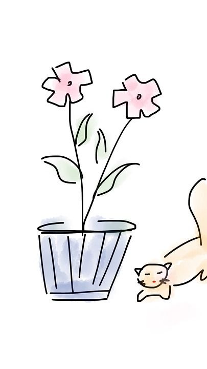 花 猫 动物 宠物 可爱的 植物 基蒂 甜的 家 小猫 春天