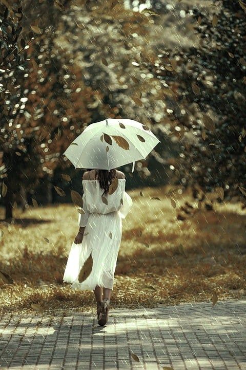 女孩 雨伞 森林 雨 女士 白色的 裙子 自然 秋天 树叶