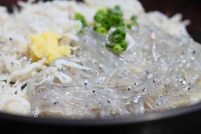 白须 田浦 静冈 一碗米饭配生鱼片 美食 碗