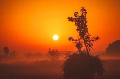 日出 早晨 剪影 景观 风景秀丽的 太阳 自然 户外 上升