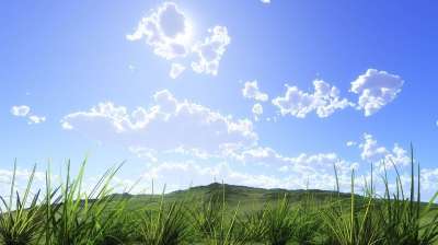 自然 叶 草 蓝天 云 地球 太阳 夏季 草地 秋季 景观