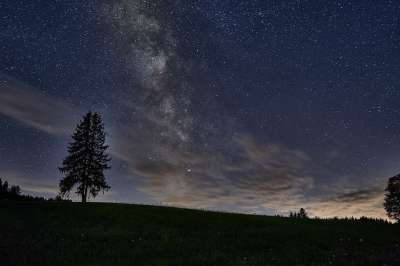 银河 夜晚 星空 树 天文学 景观