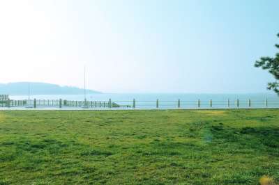 大海 绿色 阳光