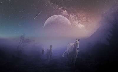 幻想 马匹 多雾路段 月亮 星空 着迷了