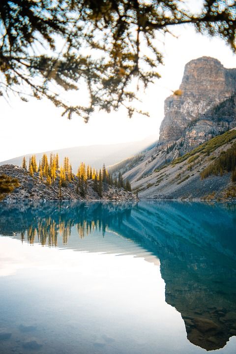 山 湖 自然 水 天空 高山 风景秀丽的 加拿大 森林 旅行
