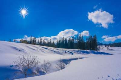 冬天 自然 户外 季节 树木 雪 云 寒冷的 景观