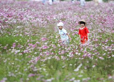 孩子们 乐趣 清白 童年 春天