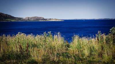蓝色的大海 自然 稻草 景观 天空 夏天 海洋 蓝色的 海岸