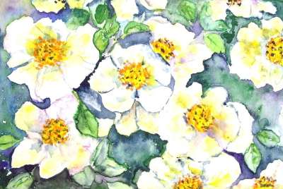 花 开花 自然 绘画 图片 艺术 作画 染 艺术的 艺术家