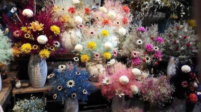 星空 繁花 江南 干 花束 繁花 繁花 江南 江南 江南