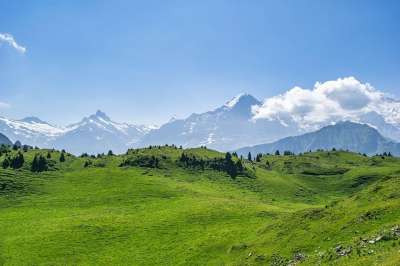 瑞士 阿尔卑斯山 山 景观 草地 云 自然