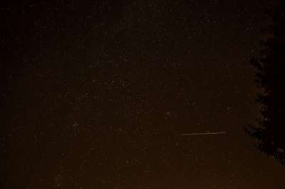 流星 星空 仙人掌 夜晚 夜空 长期接触
