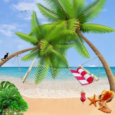 海 棕榈树 海滩 假日 海洋 夏天 热带 砂 水 椰子 松弛