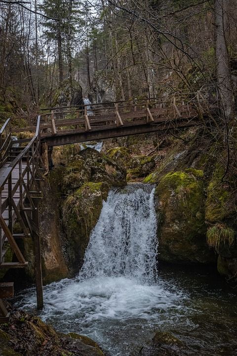 瀑布 桥 河 岩石 苔藓 下降 溪 水 巴赫 木板路 石头