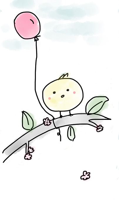 鸟 气球 天空 树 枝杈 自然 高的 花 花瓣 叶子 树叶
