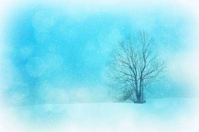 质地 背景 冬天 冬季景观 雪 雪花 树 孤独 散景 圣诞节