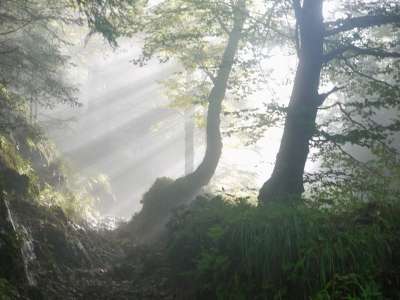 上升 早期的 多雾路段 阳光 神秘主义 神秘 精神 在清晨