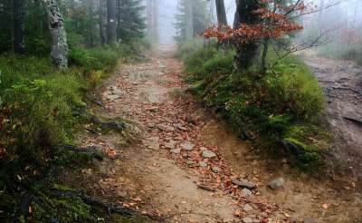 路径 线索 根 石头 雾 山 贝斯基德 Jaworzyna 时