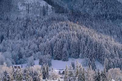 山 雪 自然 冬天 冬季景观 景观 雪景 寒冷的 多雾路段