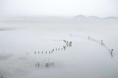 多雾路段 自然 海洋 海滩 海岸 水 山 自来水厂 网 有雾的