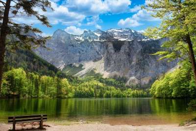山 湖 长椅 树木 阿尔卑斯山 高山 森林 多山 山脉