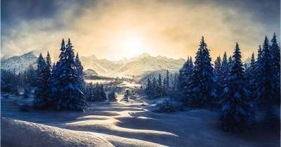 生成的Ai 树木 雪 冬天 景观 阳光 日落 森林 幻想 户外