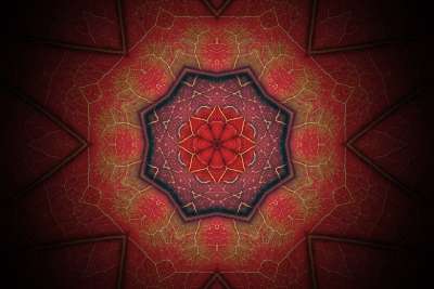 艺术 模型 设计 墙纸 语境 玫瑰花结 花环 曼荼罗 装饰风格