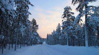 雪路 冬天 林道 寒冷的 北极 霜 北极圈 拉普兰 芬兰