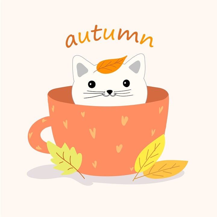 猫, 杯子, 秋天, 树叶, 咖啡, 茶, 马克杯, 小猫, 宠物, 动物