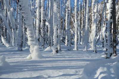 冬季 雪 弗罗斯特 霜 冰 寒冷的 雪堆 冰柱 那不勒斯 河