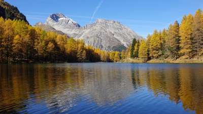落叶松林 山下湖 反射 山 落叶松 落下 风景 森林 树木 湖