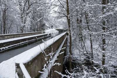 冬天 雪 冰淇淋 自然 冬季景观 寒冷的 冻结 树木