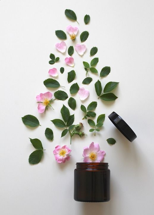 天然化妆品 粉色的 玫瑰 化妆品 美丽 关闭 开花 健康 自然