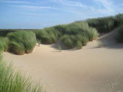 荷兰 Marram 草 植物 天空 云 海滩 沙丘 沙 景观