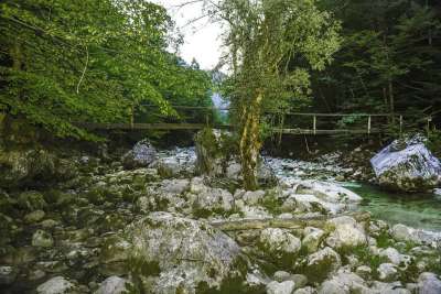 水 溅 森林 景观 自然 流动 美丽的 级联 绿色 电 短裙