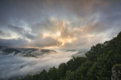 多雾路段 早晨 山 自然 景观 日出 树木 阳光 清晨的薄雾